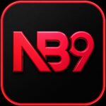 NB9 app download interface with secure login option